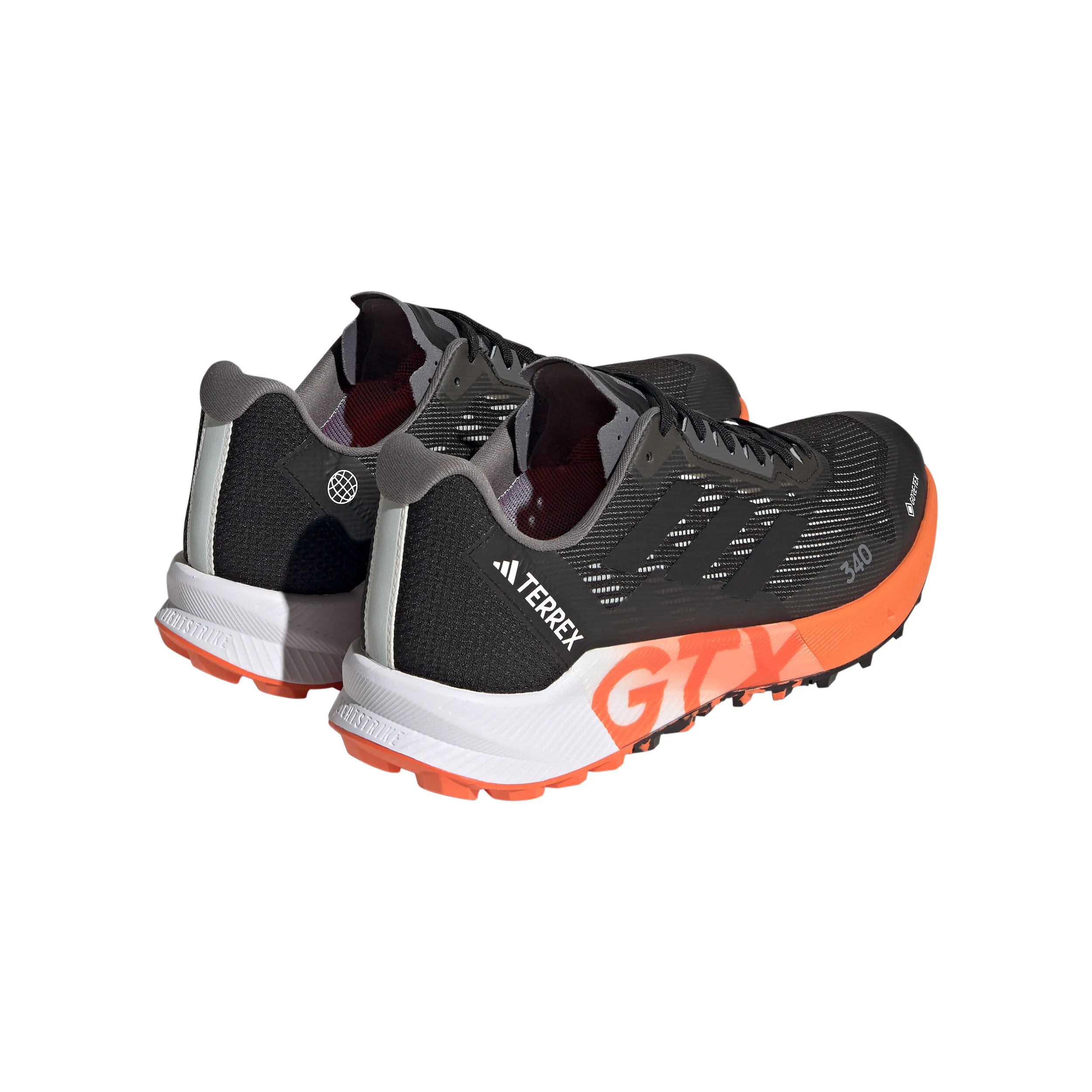 adidas Terrex Agravic Flow 2 GTX Zapatilla Trail Hombres