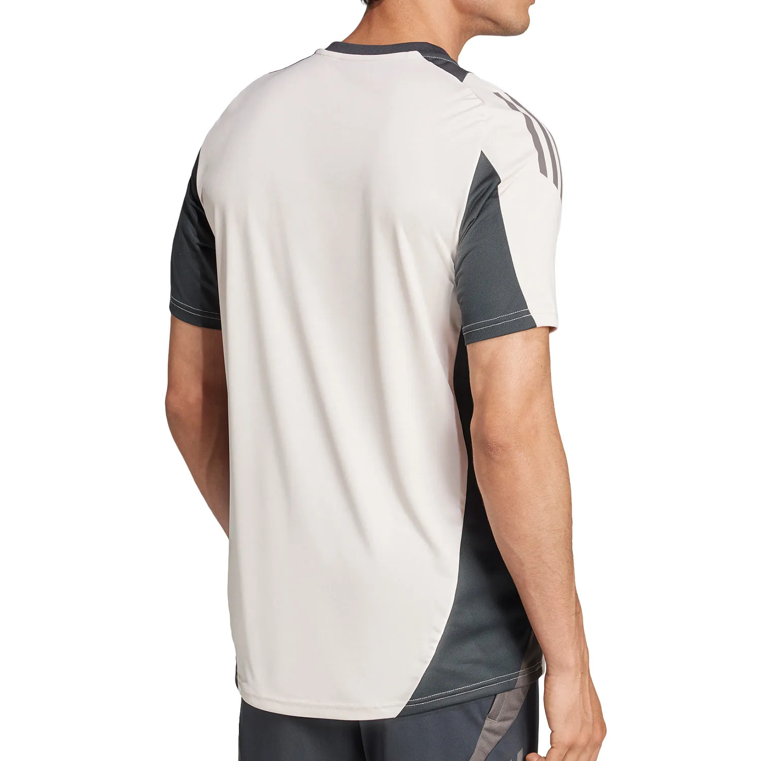 Camiseta adidas Real Madrid entrenamiento UCL