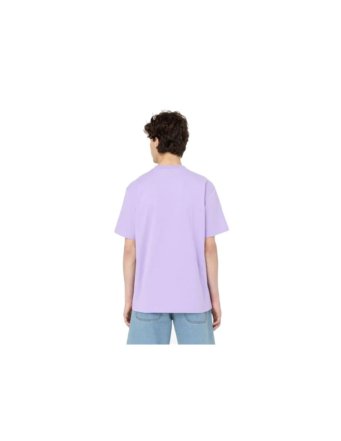 Camiseta Dickies Porterdale Morado Hombre