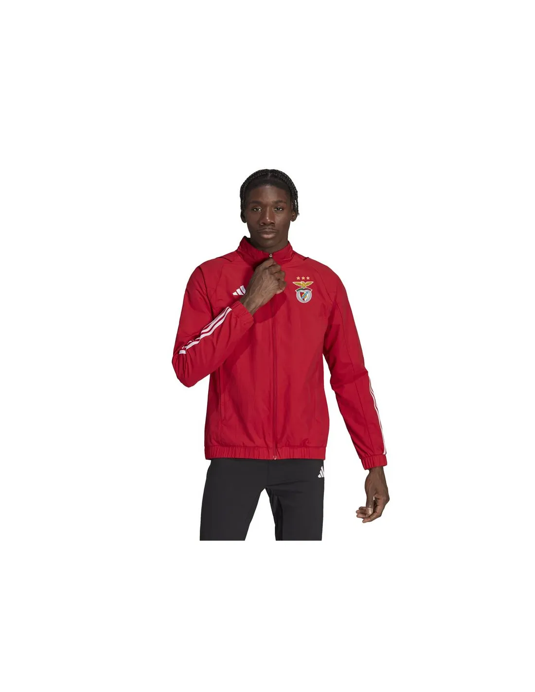 Chaqueta de Fútbol adidas Benfica Hombre