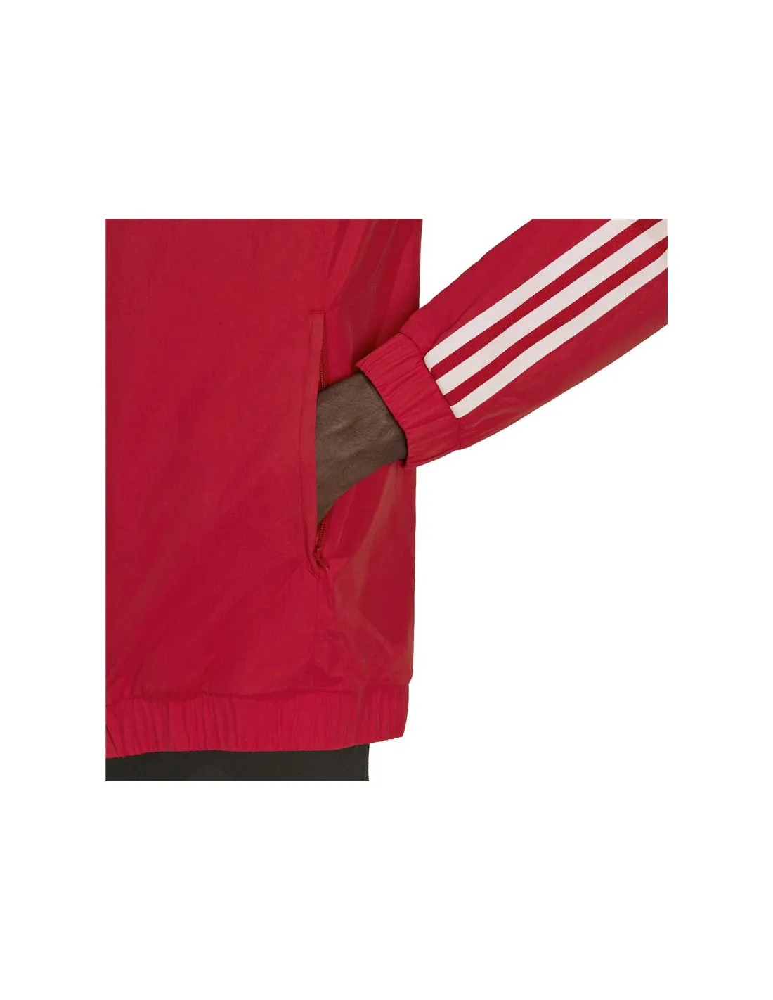 Chaqueta de Fútbol adidas Benfica Hombre