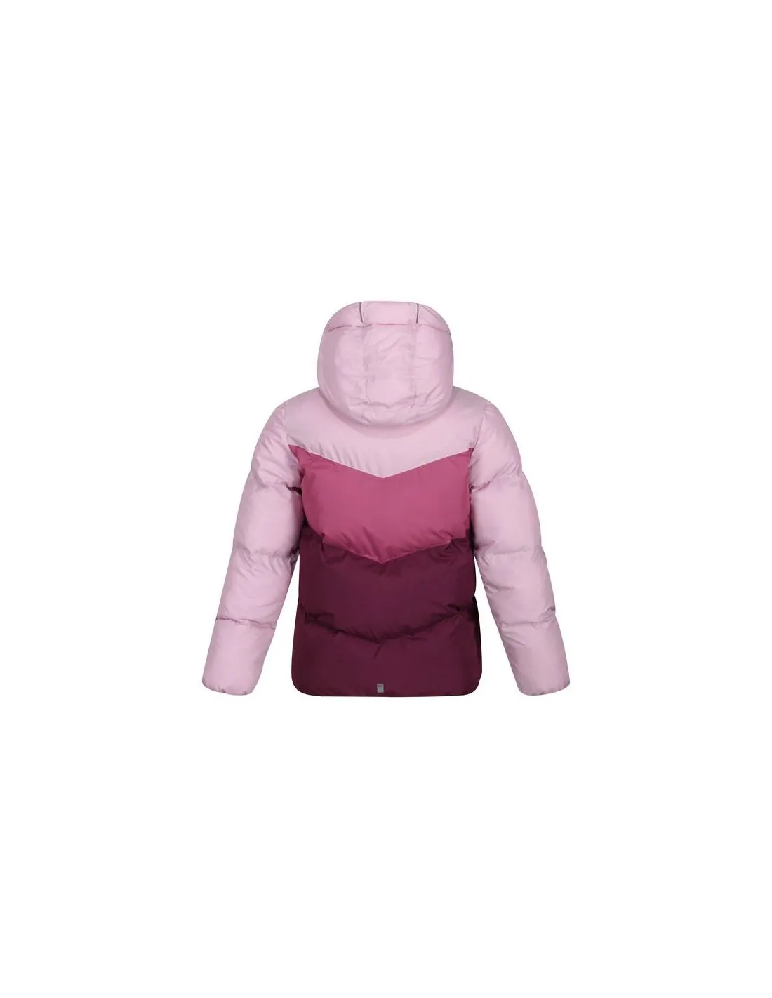 Chaqueta Regatta Lofthouse Vi Morado Infantil