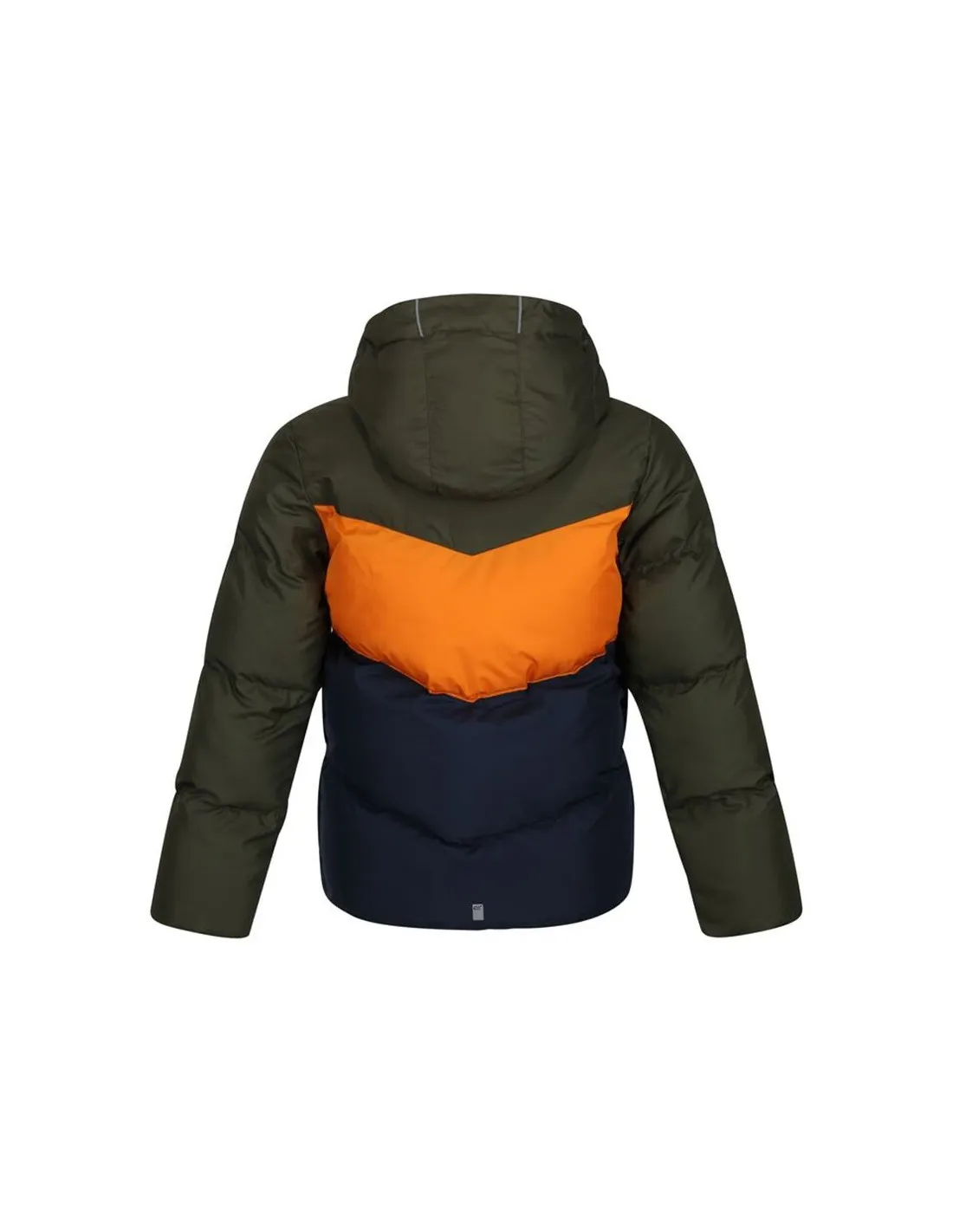 Chaqueta Regatta Lofthouse Vi Verde Infantil
