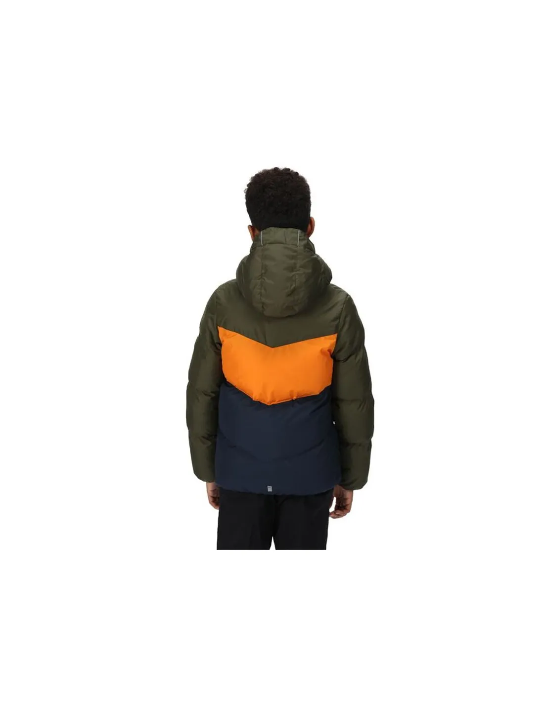 Chaqueta Regatta Lofthouse Vi Verde Infantil
