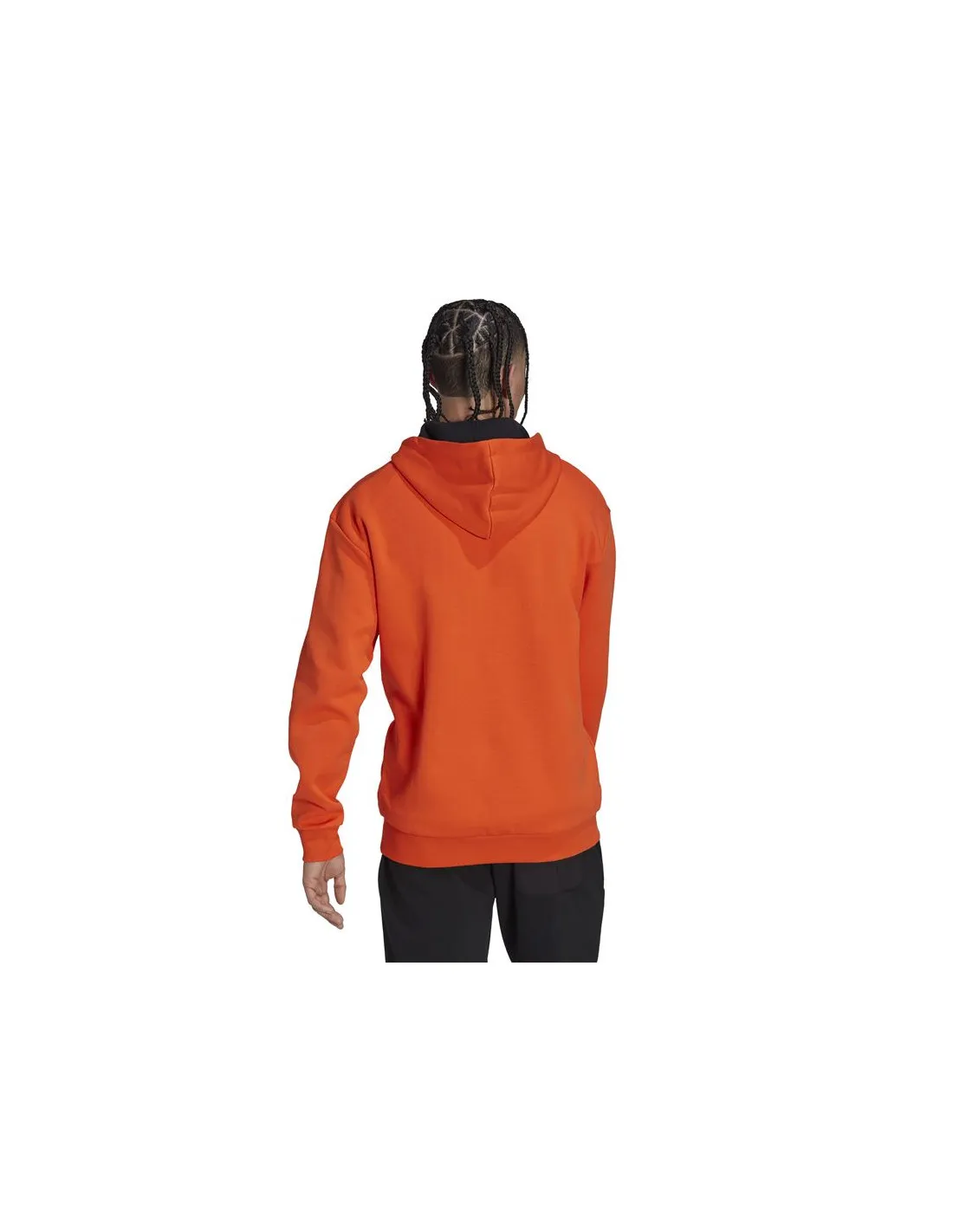 Sudadera de Montaña adidas Terrex Logo Graphic hombre