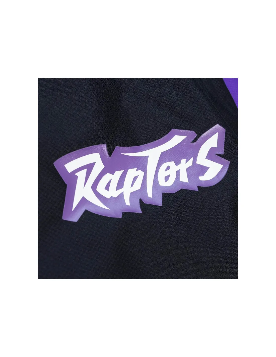 TORONTO RAPTORS
